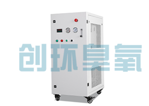 鞍山石斑鱼养殖水质调控完整指南：臭氧发生器配置与操作步骤