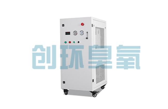 鞍山比传统换水更高效？臭氧发生器在石斑鱼养殖中的水质净化原理解析