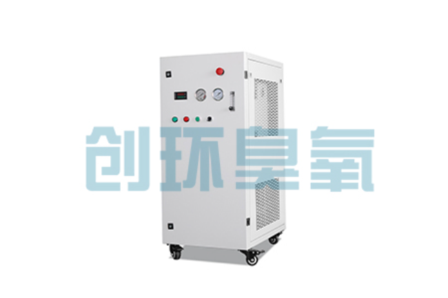 鞍山比传统换水更高效？臭氧发生器在石斑鱼养殖中的水质净化原理解析